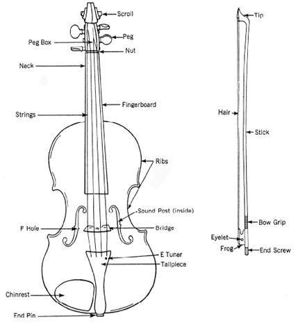 fordel Par Bliv sur Parts of the Violin - Suzuki Violin Lessons - Jason Barber